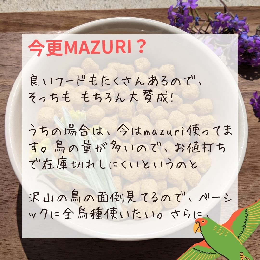 取寄せ商品】マーモセットゼリー 業務用 1.6kg 5041 Mazuri 取寄せ商品】マーモセットゼリー 業務用 1.6kg 5041 Mazuri