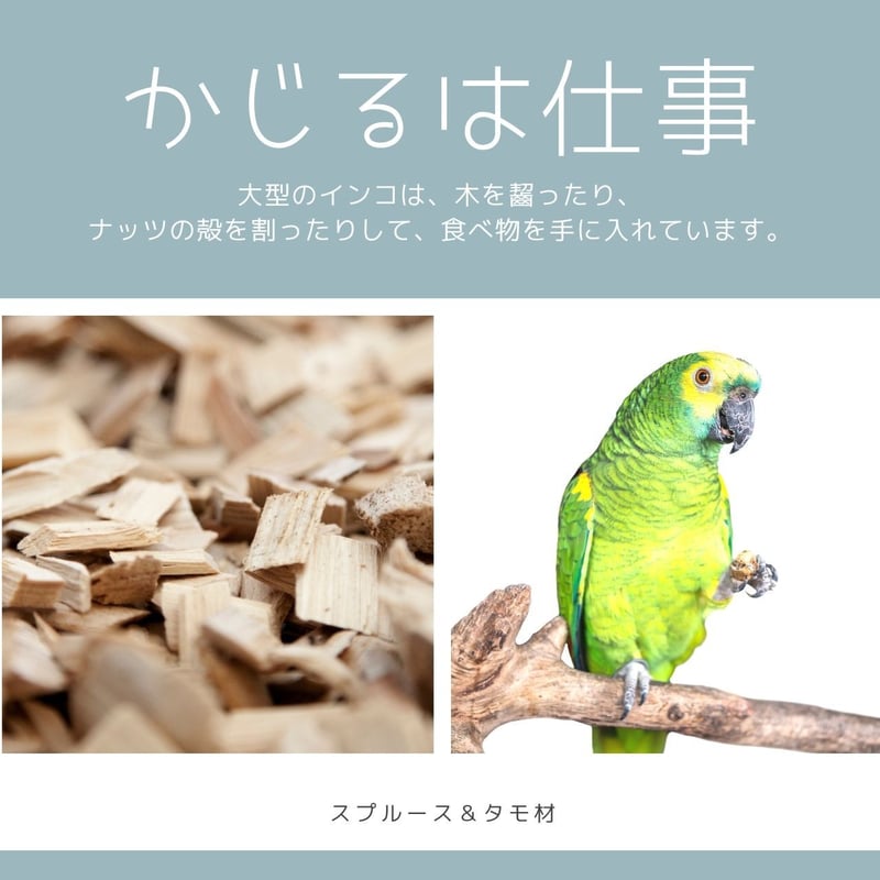 かじり木セット | 守人生協 かじり木セット | 守人生協