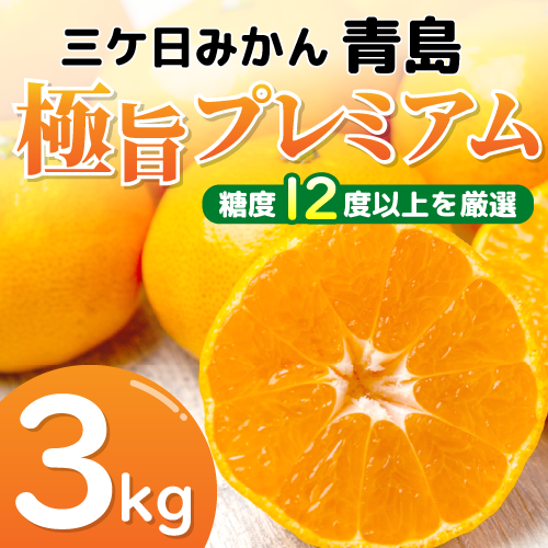 三ヶ日みかん 青島 3kg【極旨プレミアム 糖度12度以上 光センサー選果
