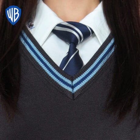 【公式】 ハリーポッター Vネックニット ベスト 刺繍入り  ホグワーツ制服 ME