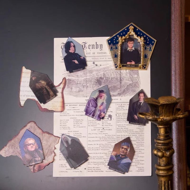 ハリーポッター カエルチョコレート 立体 マグネット 公式ライセンス