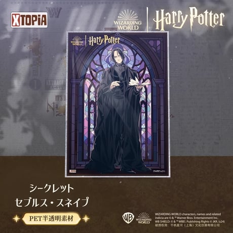 【1パック】 ハリーポッター ステンドグラス 色紙コレクション 公式ライセンス 海外限定商品 XTOPiA