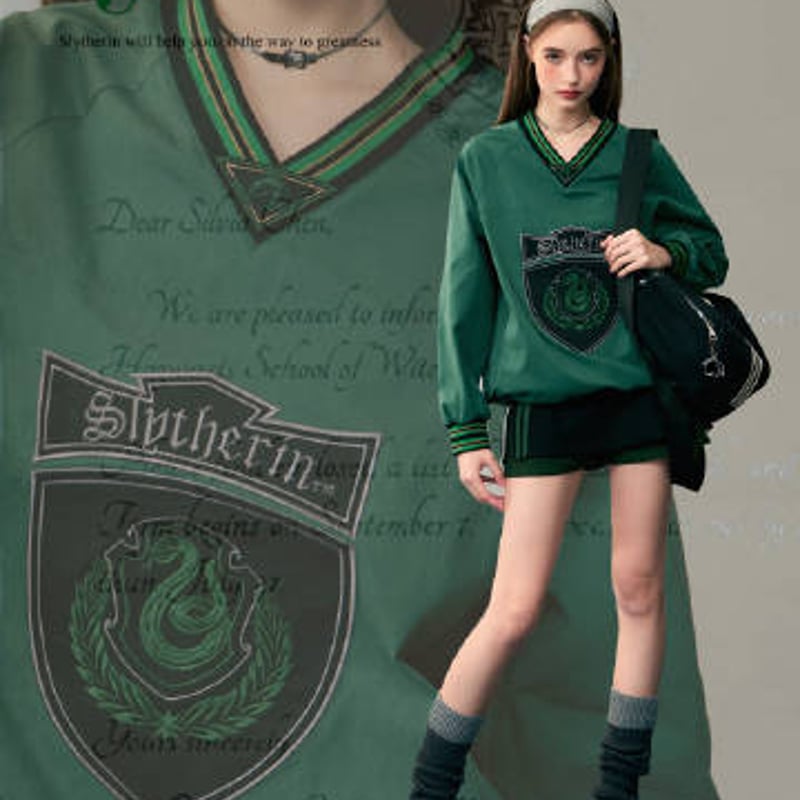 ハリーポッター ホグワーツ寮シンボル Vネックプルオーバー