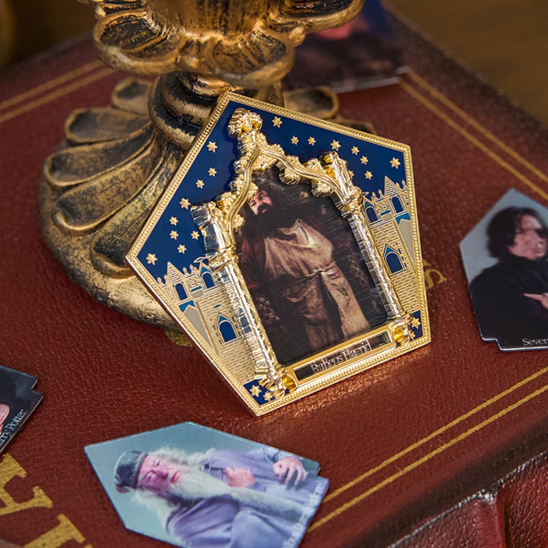 ハリーポッター カエルチョコレート 立体 マグネット 公式ライセンス