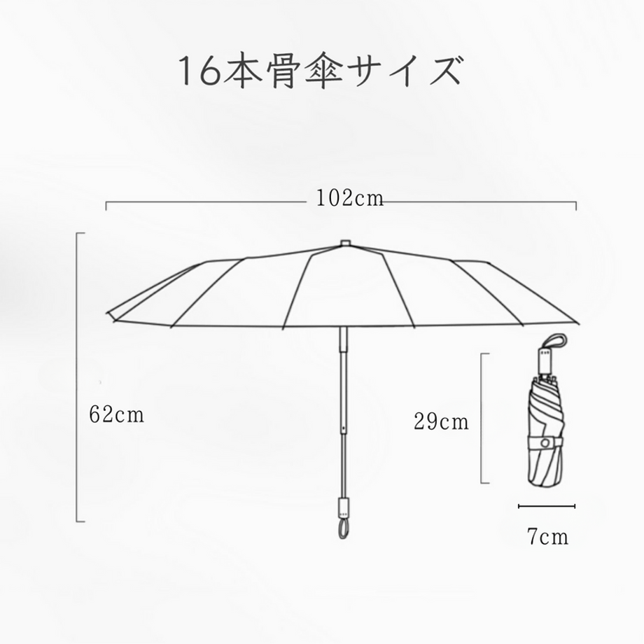 6704ec99a537ca0208f4fc12