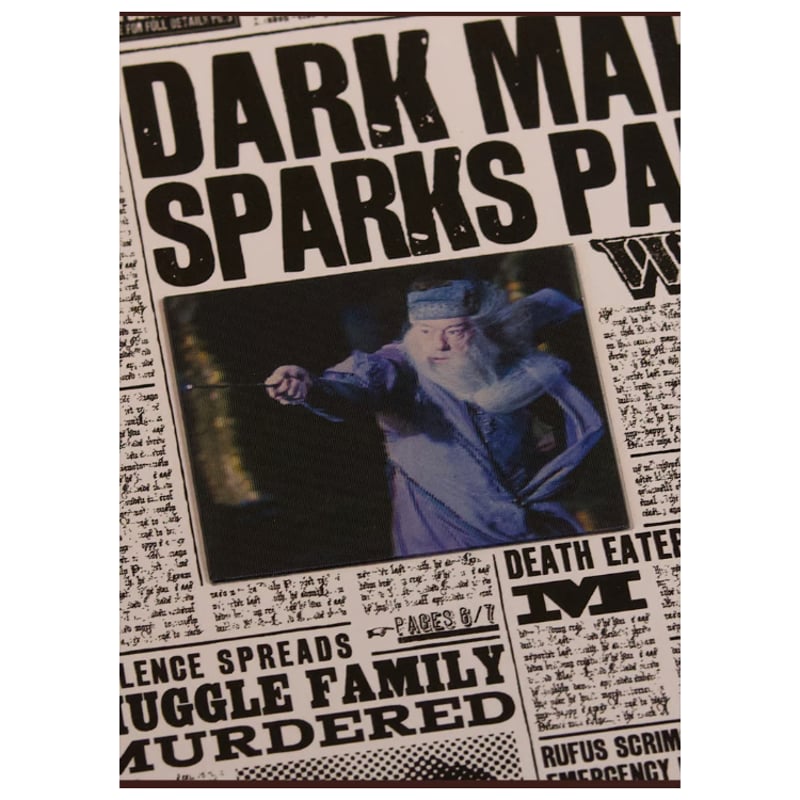 ハリーポッター 日刊預言者新聞 ノート ダンブルドア/ ヴォルデモート