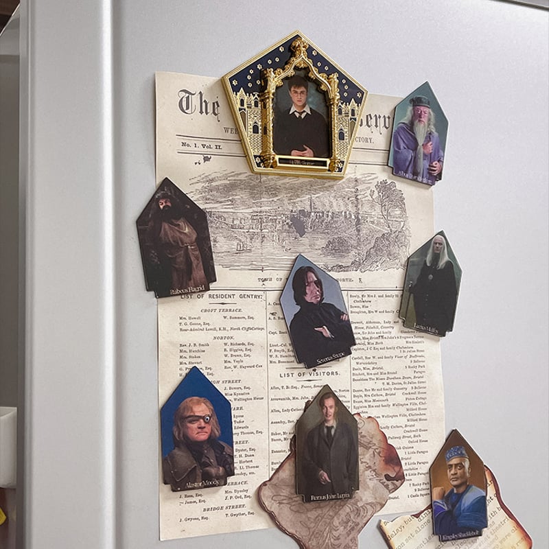 ハリーポッター カエルチョコレート 立体 マグネット 公式ライセンス