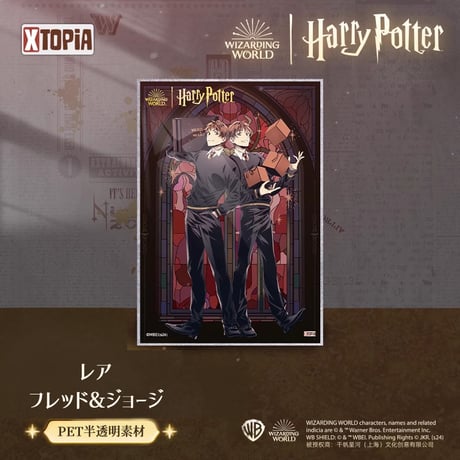 【1パック】 ハリーポッター ステンドグラス 色紙コレクション 公式ライセンス 海外限定商品 XTOPiA
