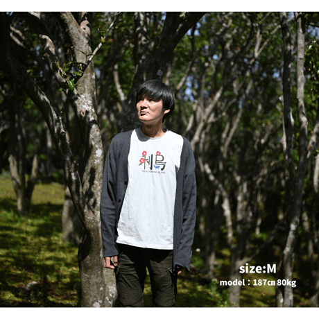 【椿油Ｔシャツ】椿油を繊維加工剤化して作ったTシャツ
