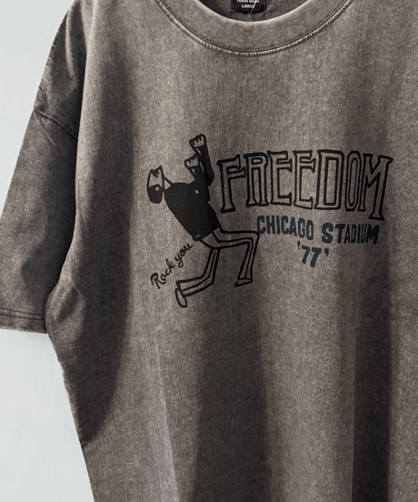 【LUMBER】DYED T-SHIRT FREEDOM（261801）