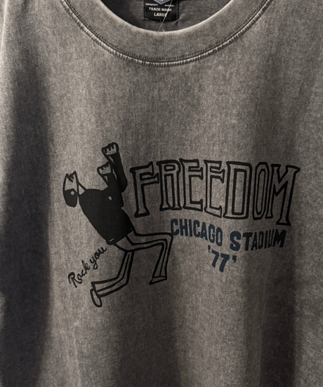 【LUMBER】DYED T-SHIRT FREEDOM（261801）