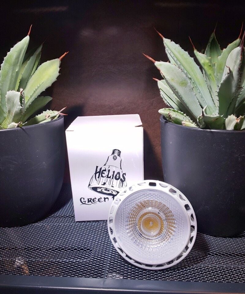 Helios Green LED 3個セット ※広角レンズ付属