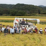 美穂田米 販売所