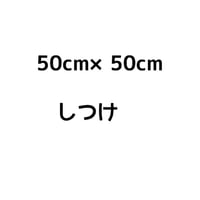 50cm×50cm しつけ