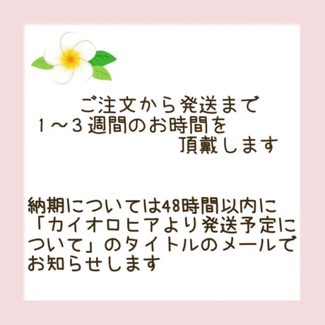 ミニトート　しつけ済みキット　モンステラ★★