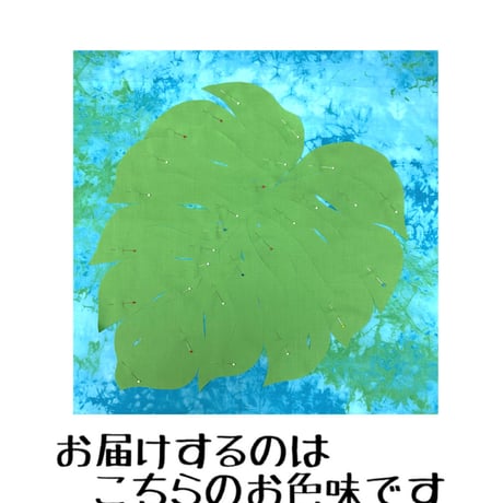 プレカットキット　50×50  モンステラ  A