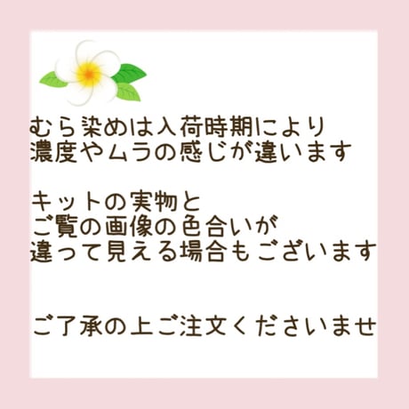 お薬手帳・通帳ポーチキット　パンノキ　ベストオブモリス★★