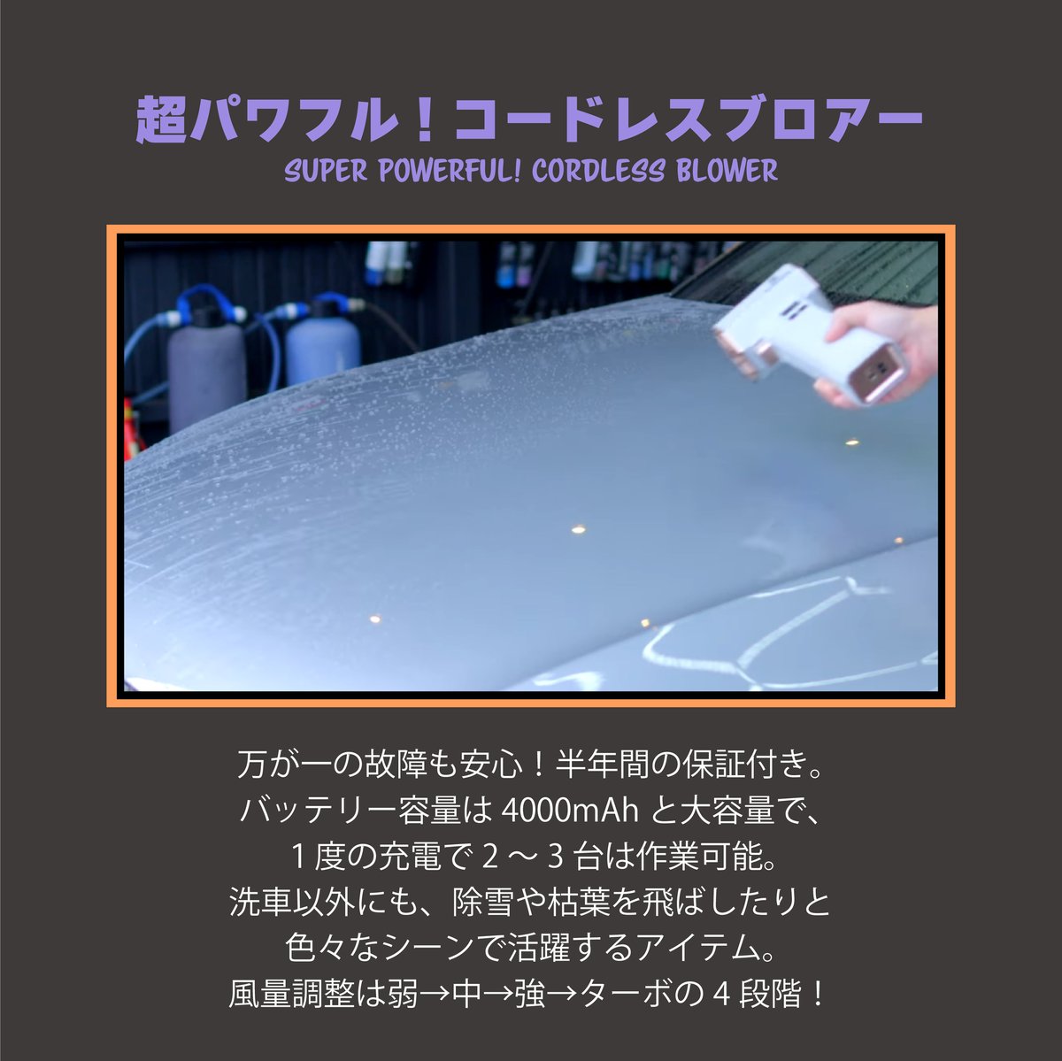 収納ケース付き！【MADNESコラボ】WOLF | FIEVILLE_STORE