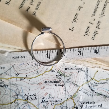モルフォ蝶のリング　sterling silver T.L.M　16.5号