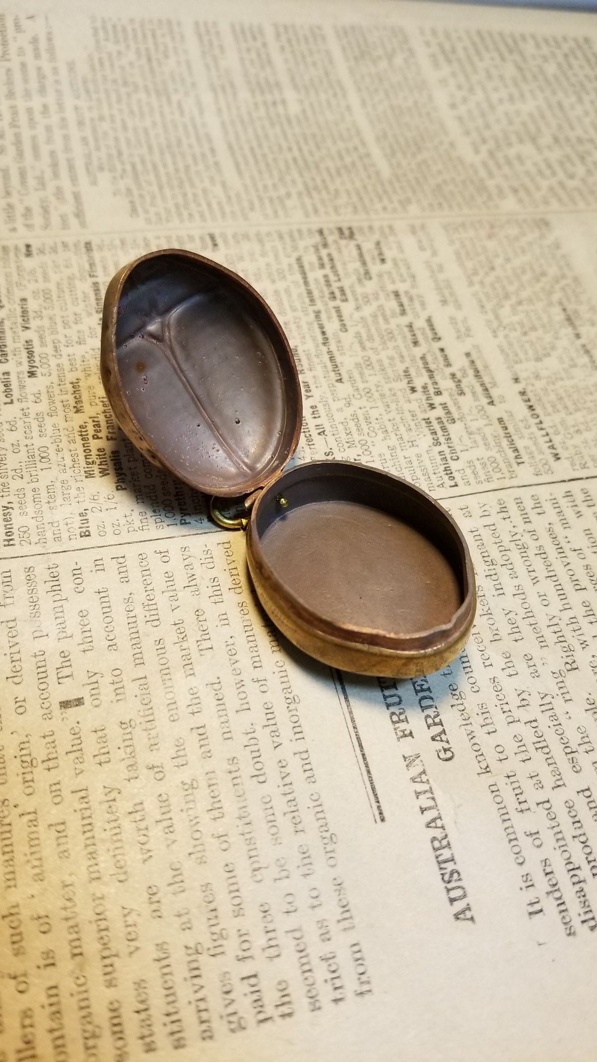 ロケットペンダント 1920年代 てんとう虫 ピルケース | IgnAPoat