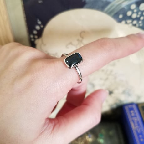 モルフォ蝶のリング　sterling silver T.L.M　16.5号