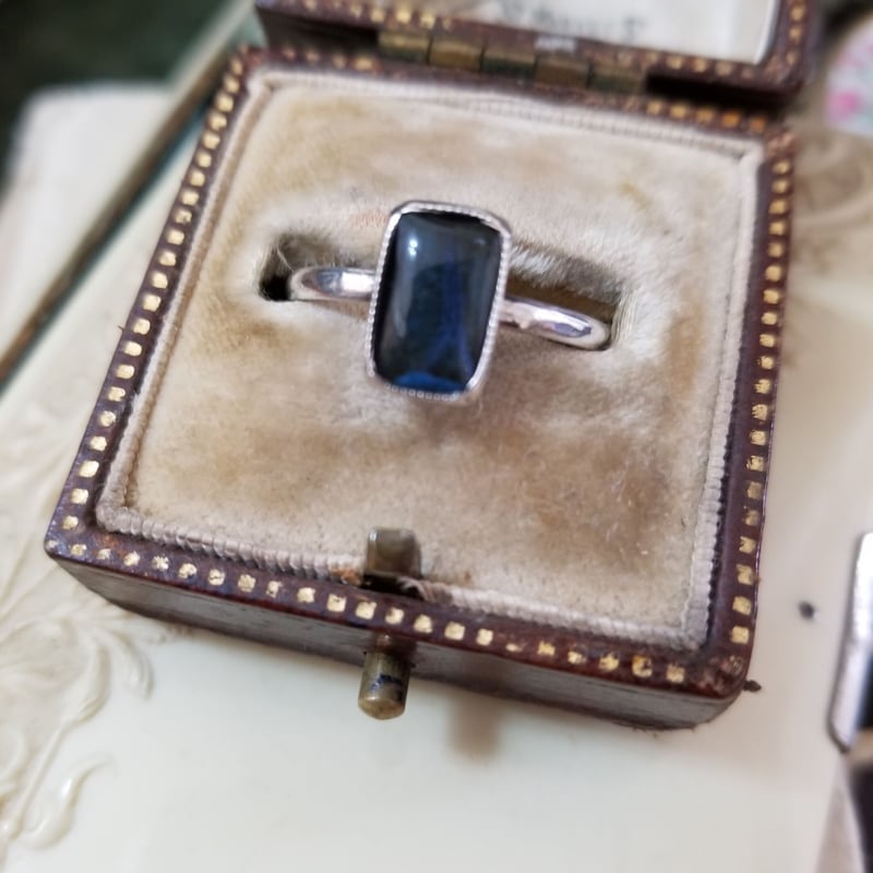 モルフォ蝶のリング sterling silver T.L.M 16.5号 | IgnAPoat