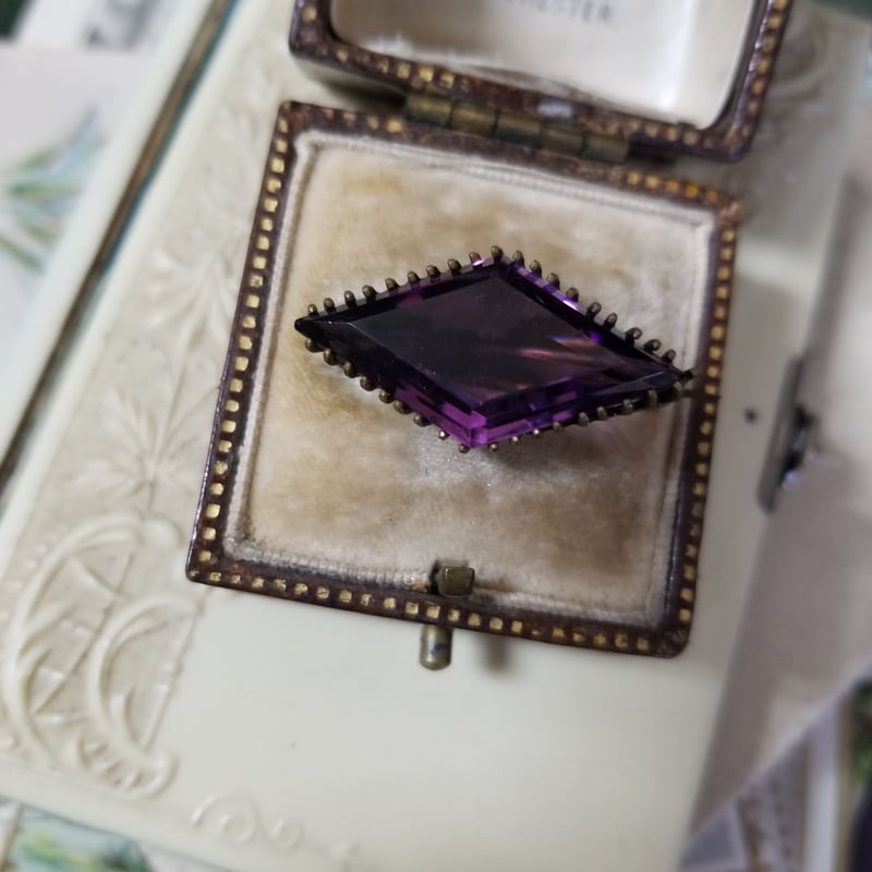 Tパリ　ビンテージ　胚芽の模型　珍品理科系アンティーク イギリスから届いた太陽と星の模様が型押しされた、アンティーク