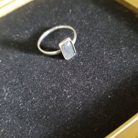 モルフォ蝶のリング　sterling silver T.L.M　16.5号