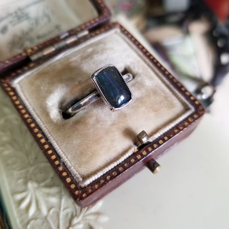 モルフォ蝶のリング　sterling silver T.L.M　16.5号