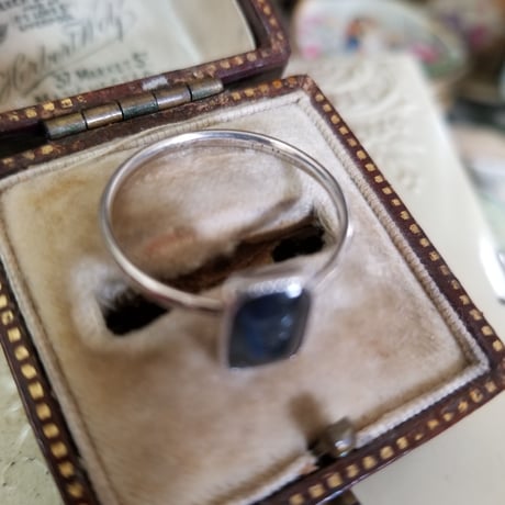 モルフォ蝶のリング　sterling silver T.L.M　16.5号
