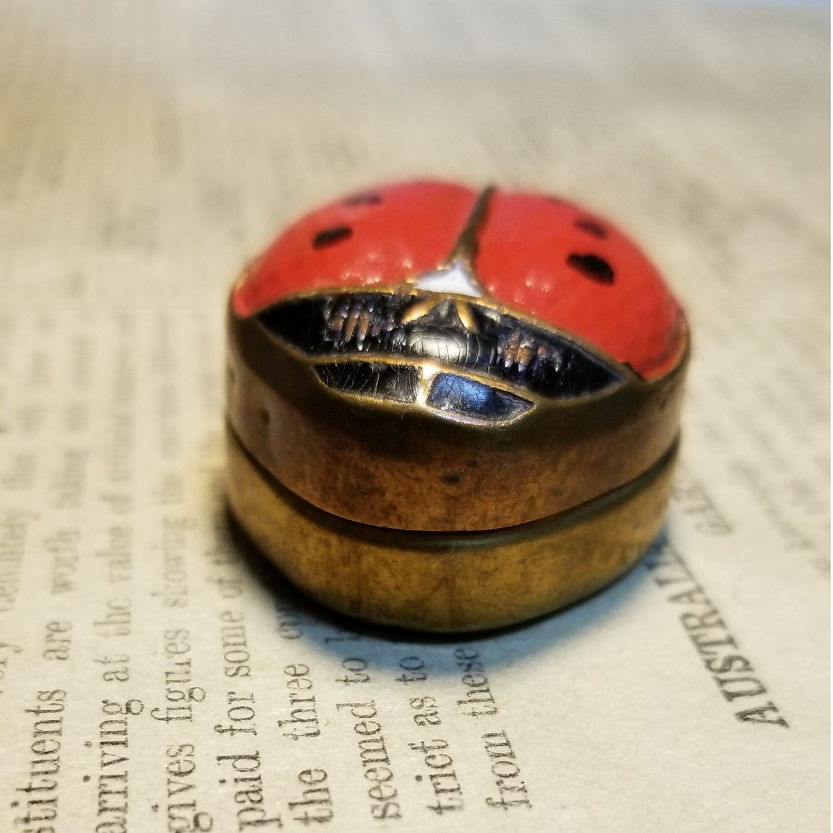 ロケットペンダント 1920年代 てんとう虫 ピルケース | IgnAPoat