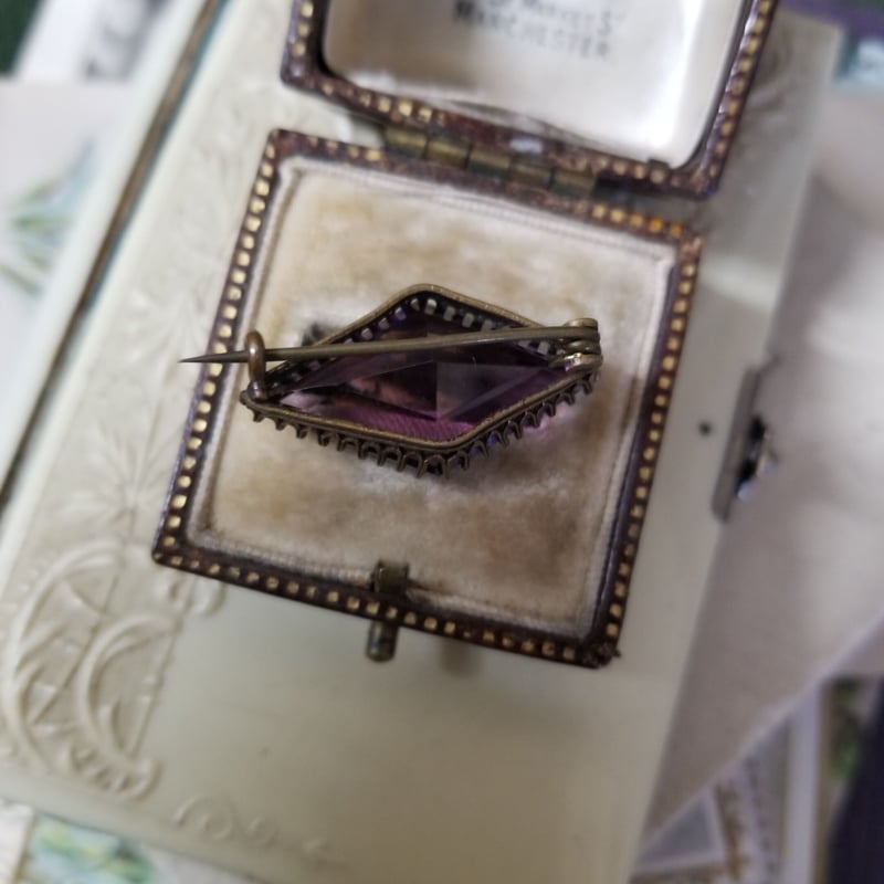 Tパリ　ビンテージ　胚芽の模型　珍品理科系アンティーク イギリスから届いた太陽と星の模様が型押しされた、アンティーク