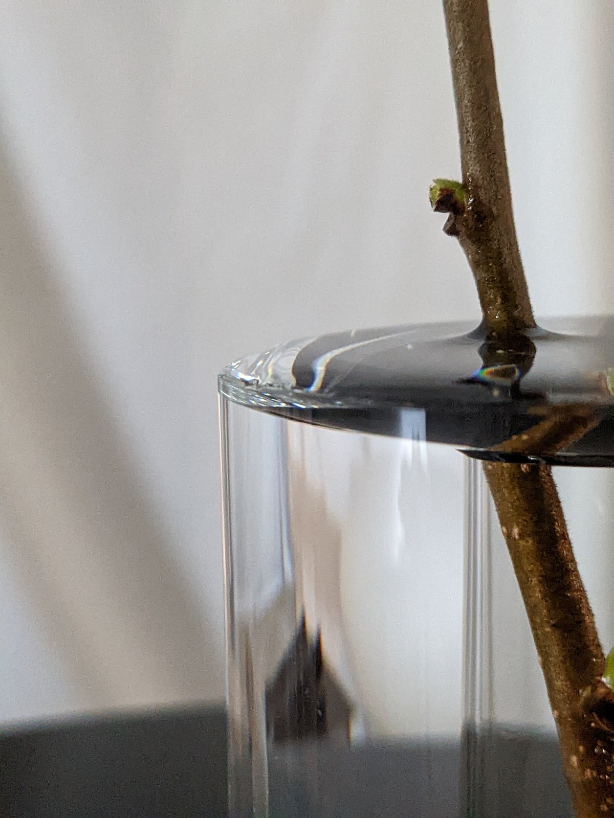 shallows Crystal Vase | Amane