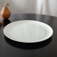 Christien Meindertsma  Plate 220 ( L )