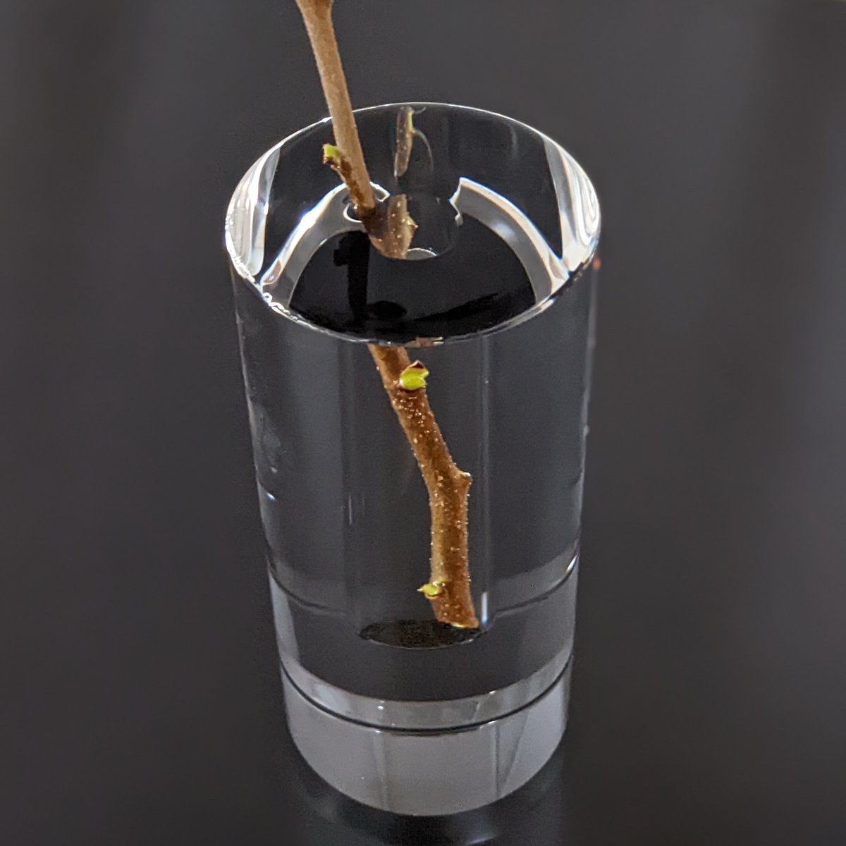 shallows Crystal Vase | Amane