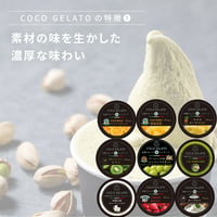 九州いいとこシリーズセット