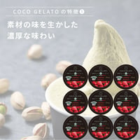 大人気糸島あまおう９個セット