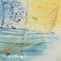 freecube / 『cordial』