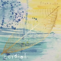 freecube / 『cordial』