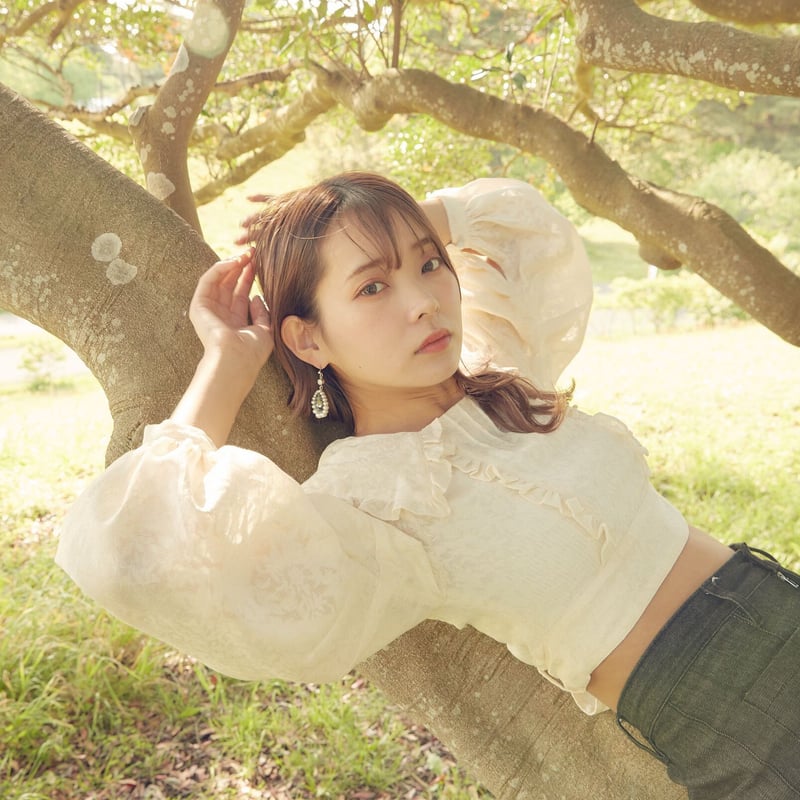 美品 クラステラー ROUND FRILL BLOUSE フリルブラウス 【F】 round frill blouse – ClaSTEllaR