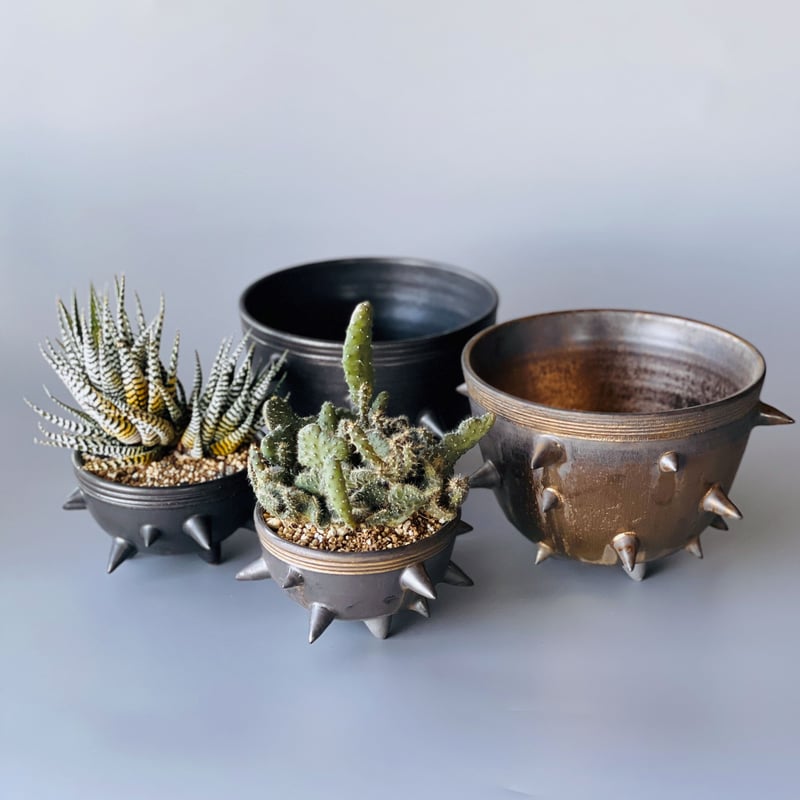 THORN STUDS POT(L)/ KM-016 | KOMAMONO