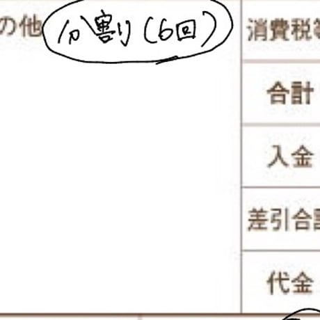 R8年6月10日お買い物分
