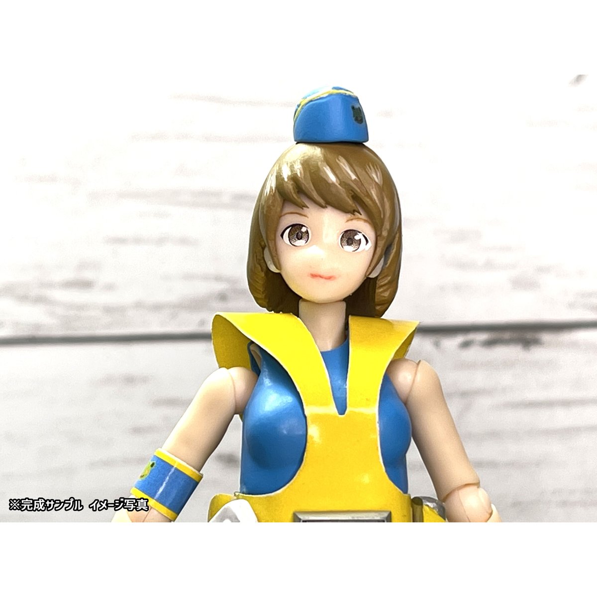 ケルベロスプロジェクト フランケンシュタイン 水着 ガレージキット 1/12 ケルベロスプロジェクト フランケンシュタイン 水着 ガレージ