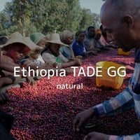 Ethiopia TADE GG natural