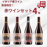 【送料無料】【イタリアワインまとめ買い】 SEITERRE セイテッレ オリゾンティ 赤ワイン 4本セット