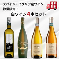 【送料無料】【白ワイン飲み比べ】スペイン・イタリア産 おすすめ白ワイン 4本セット