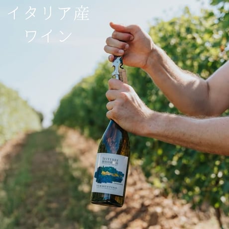 【送料無料】No.9204 セイテッレ オリゾンティ ヴェルメンティーノIGT