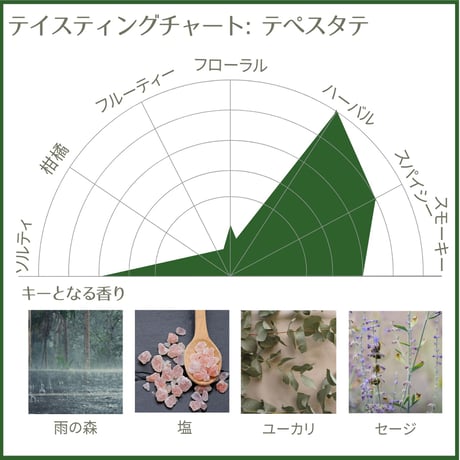 【送料無料】Lopez Real Tepeztate / ロペス レアル テペスタテ
