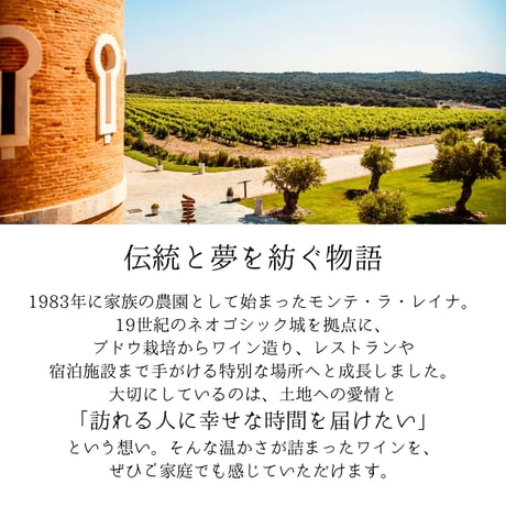 No.9105 カスティージョ デ モンテ ラ レイナ ホベン