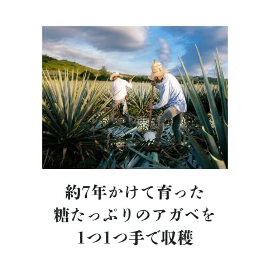 651fc670ddb422069b43d323
